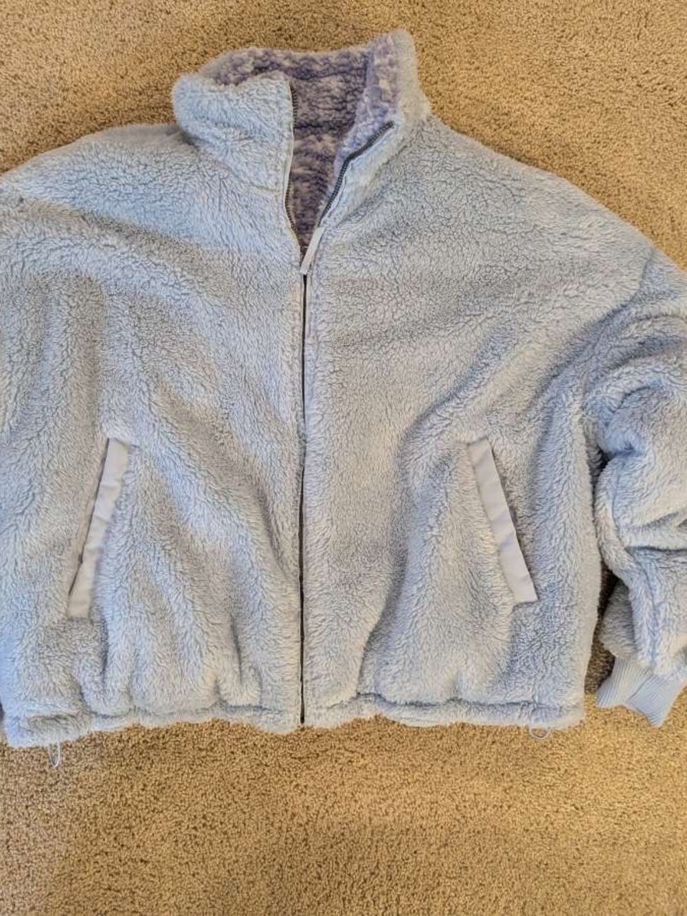 American Eagle Outfitters Light Blue Sherpa Zip Jacket